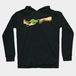 Michelangelo's Chamaleon Parody Hoodie